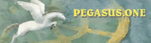 PEGASUS BASEMENT